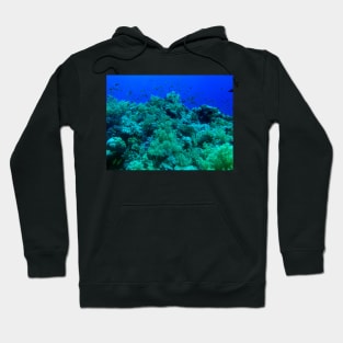 Coral reef with fishes Hoodie